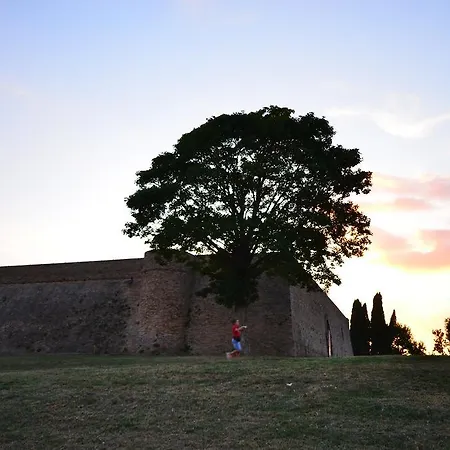 Camping Pineta Camping Urbino