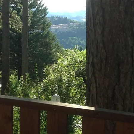 Κάμπινγκ Camping Pineta *