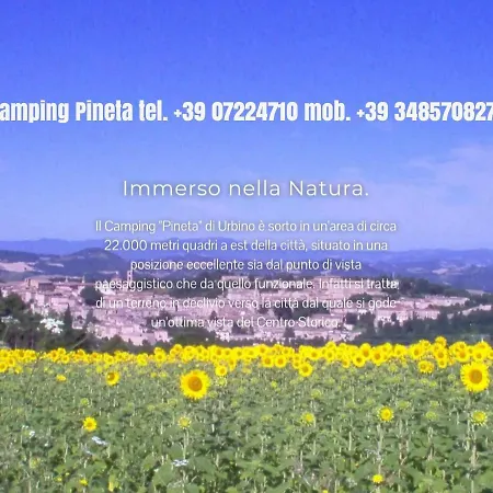 Κάμπινγκ Camping Pineta